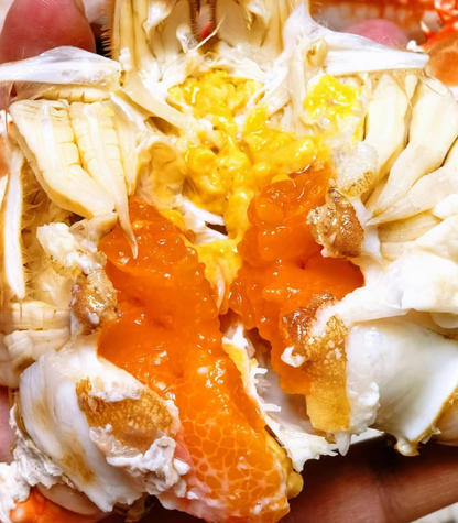🦀 Premium Swimming Crabs: Bursting with Roe & Live to Your Door